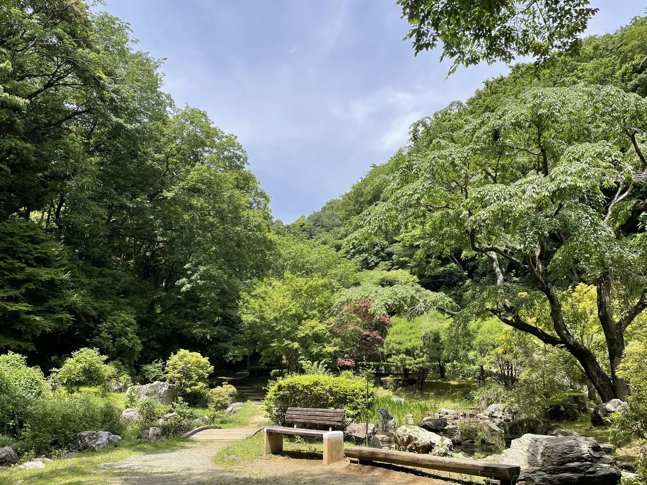 七沢森林公園－池