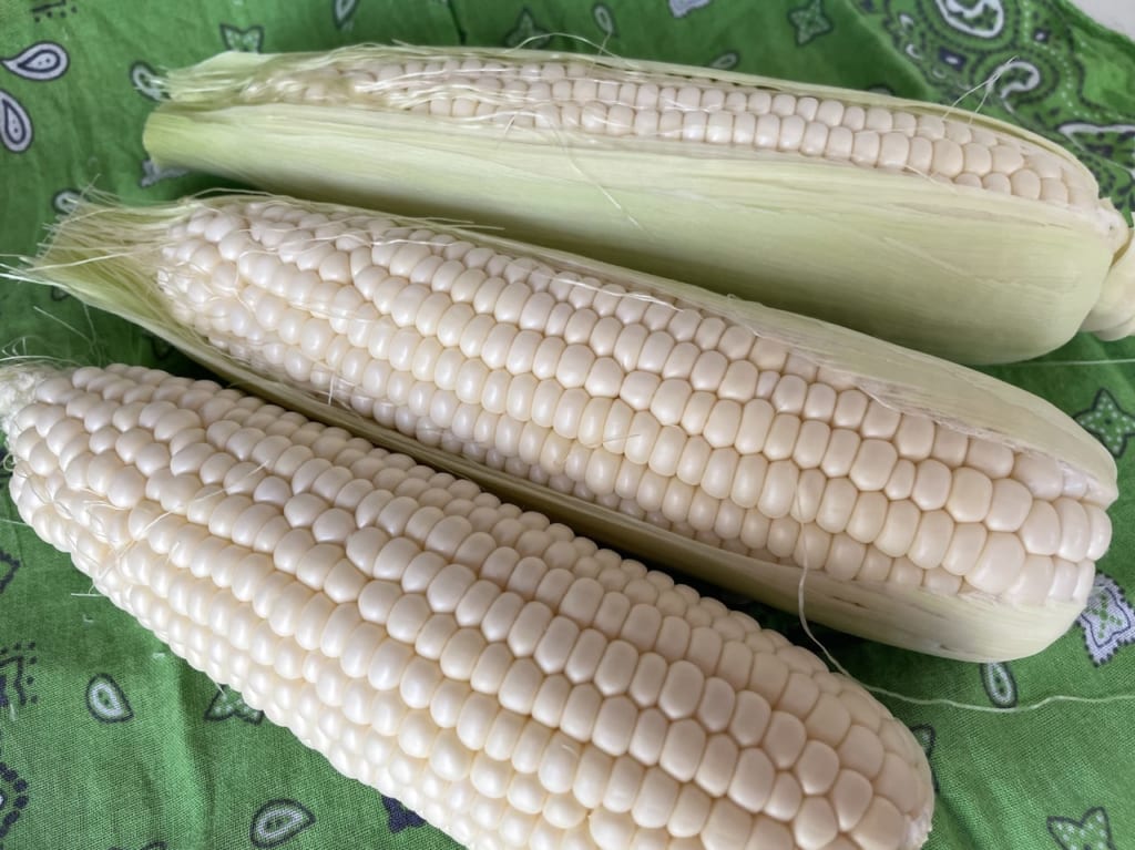 ワイルドふぁーむ