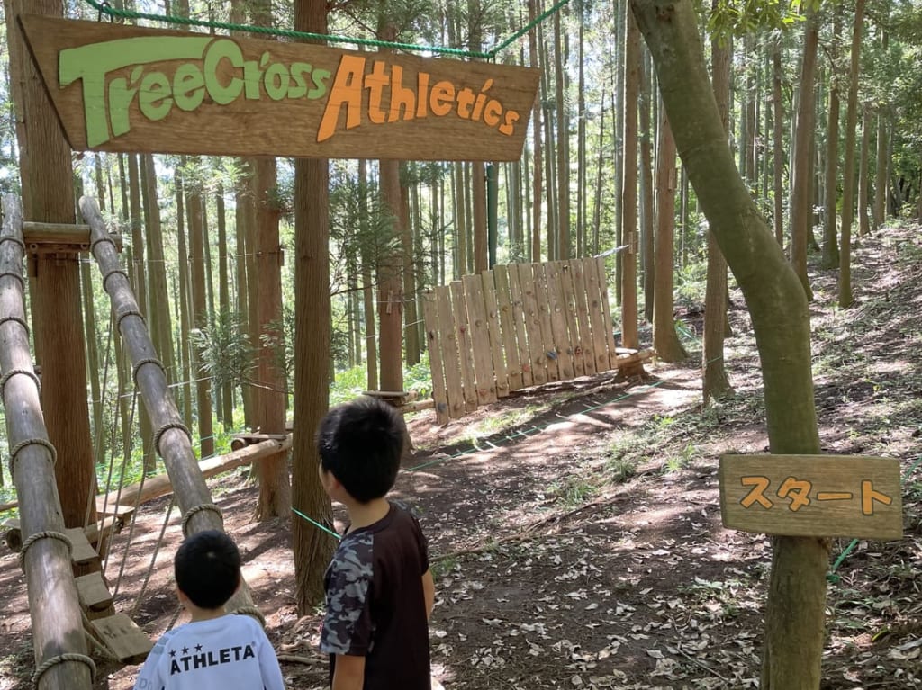 ツリークロスアスレチック