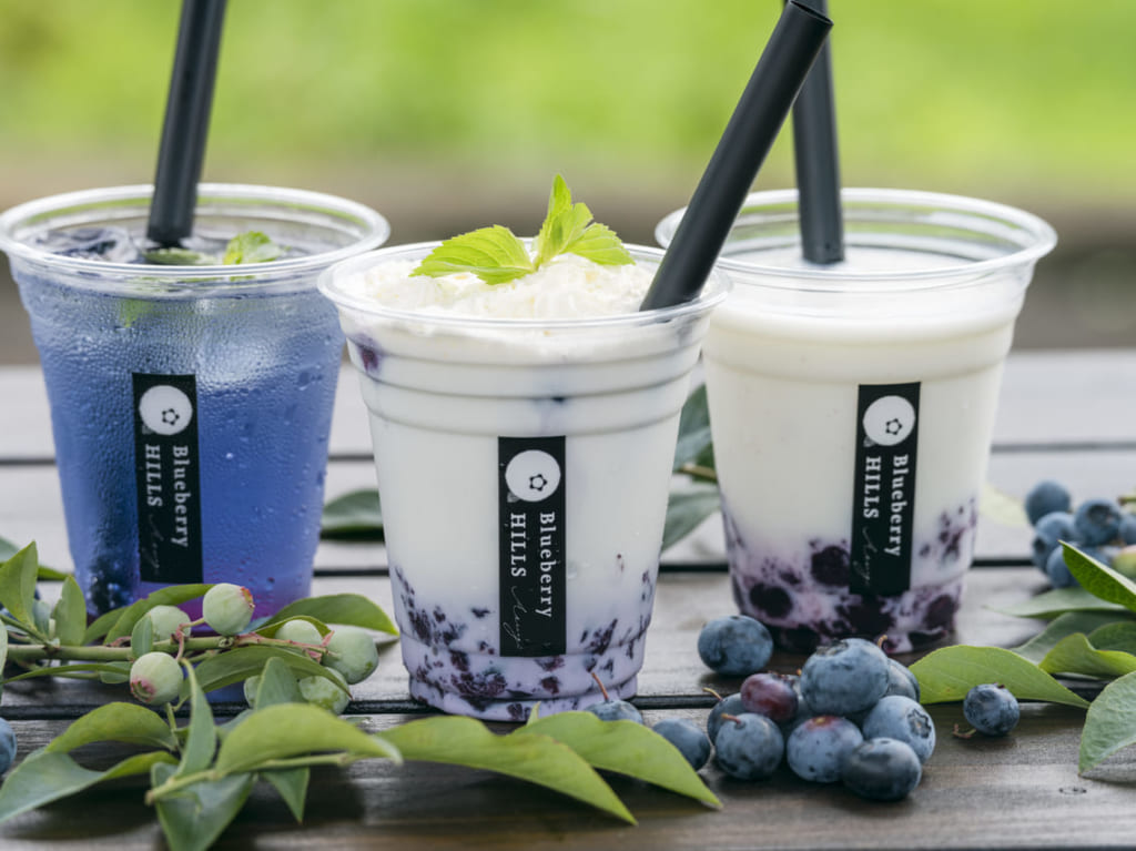 ブルーベリーヒルズ5