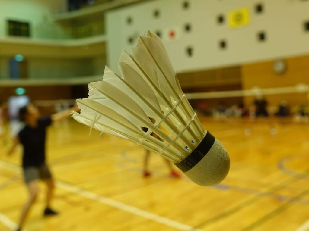 Badminton