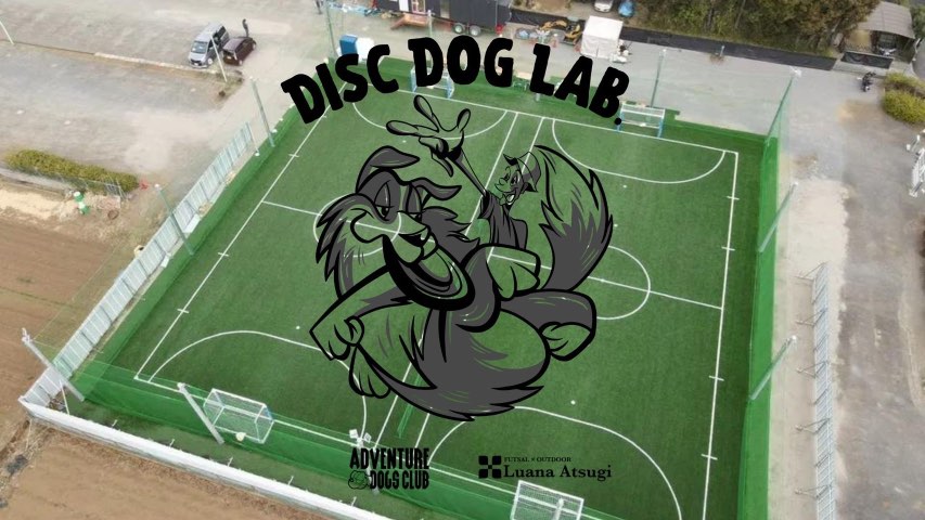 DISC DOG LAB.