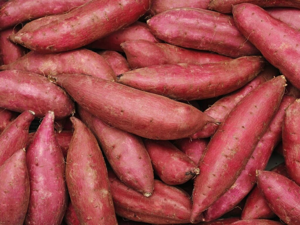さつまいも