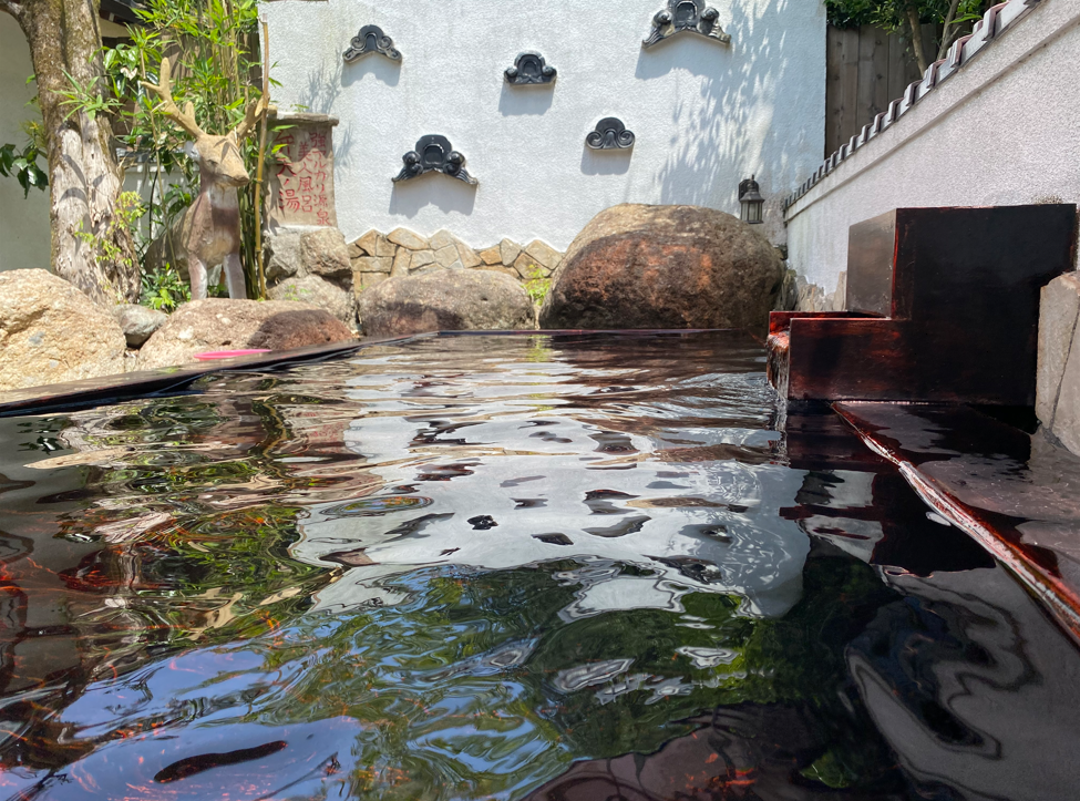 不動尻森林セラピー