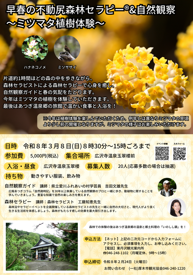 不動尻森林セラピー