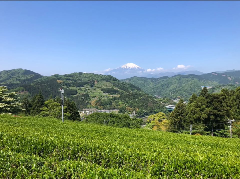 いわしや